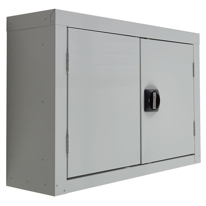 Wall-mounted perforated tool cabinet