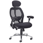 Sandro Mesh Back Office Chair with Head Rest and Adjustable Arms